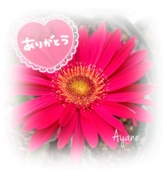 お声ありがとう♪