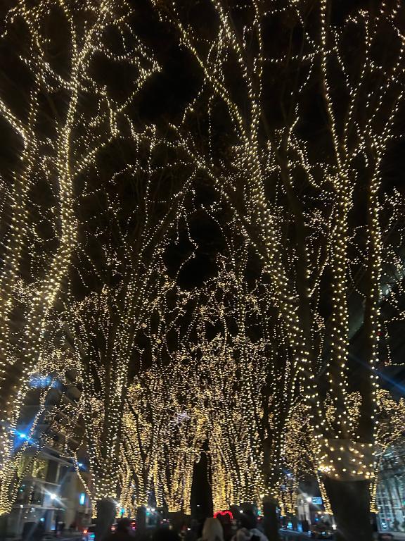 目標達成…⁉️