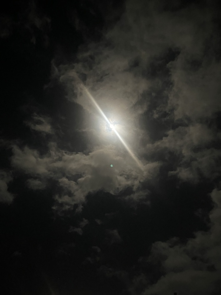 ⊂(ᴑ╹.╹ᴑ)੭💌