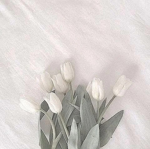 最後の日❣️