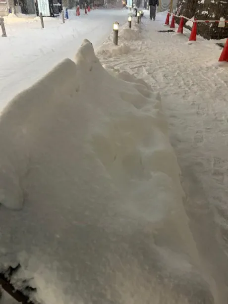 カンナ人妻生レンタルーNTRー