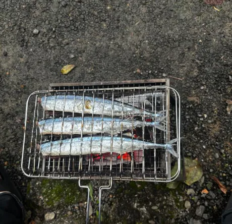 秋刀魚!