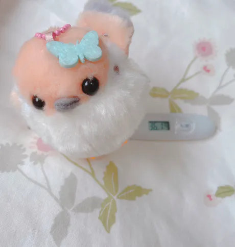 出勤します🌷
