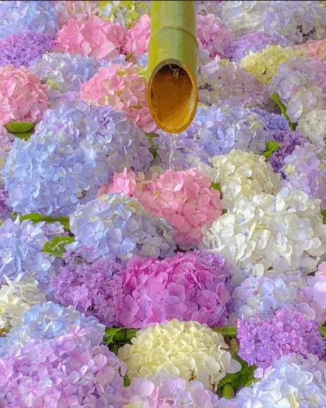 愛海-あいみ-人妻倶楽部　花椿盛岡店