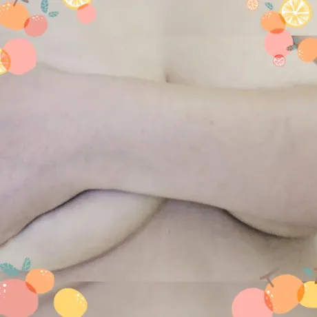 マユミ人妻生レンタルーNTRー