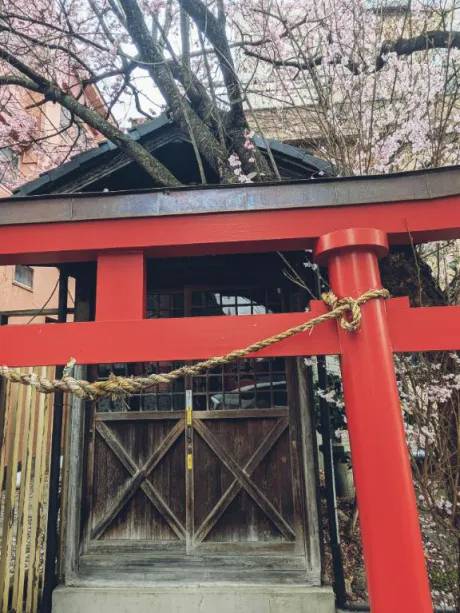 くみ　奥様SUTEKIな奥様は好きですか？