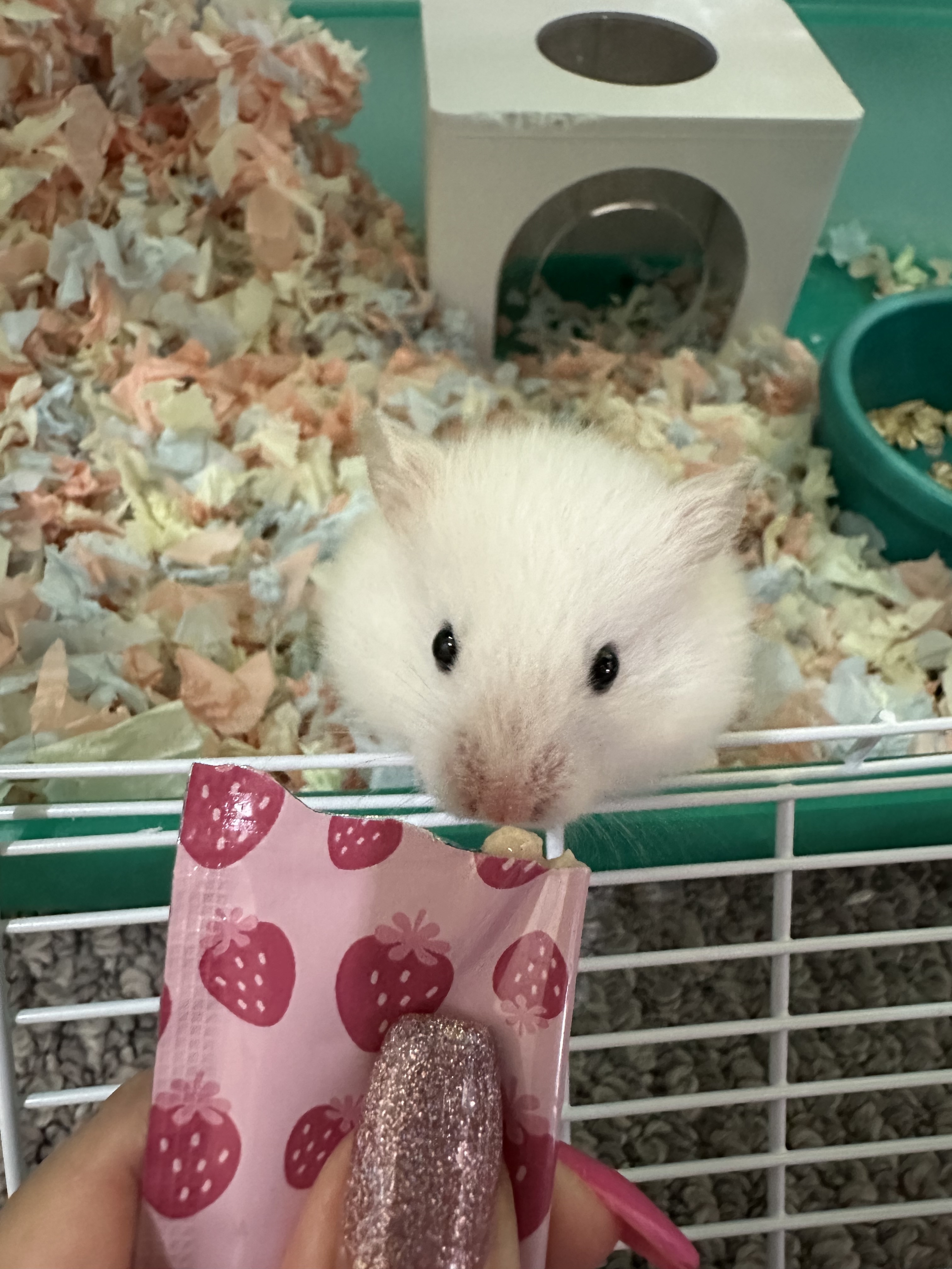 すみま㌢㍍