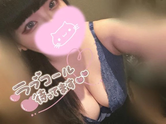 次回ご案内🧸