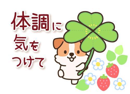 こんにちは！