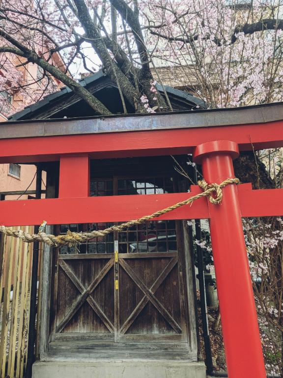 くみ　奥様SUTEKIな奥様は好きですか？