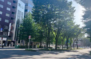 ゆきな 奥様仙台人妻セレブリティー