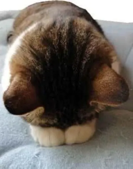 ごめんなさいm(._.)m/るい