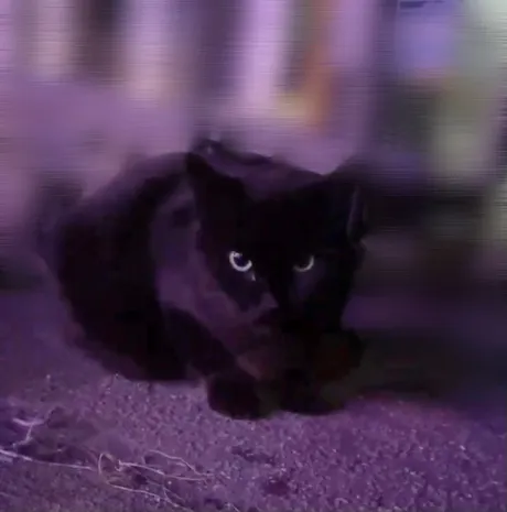 ⤴️⤴️/ルア【EDENコース】青森・弘前出勤