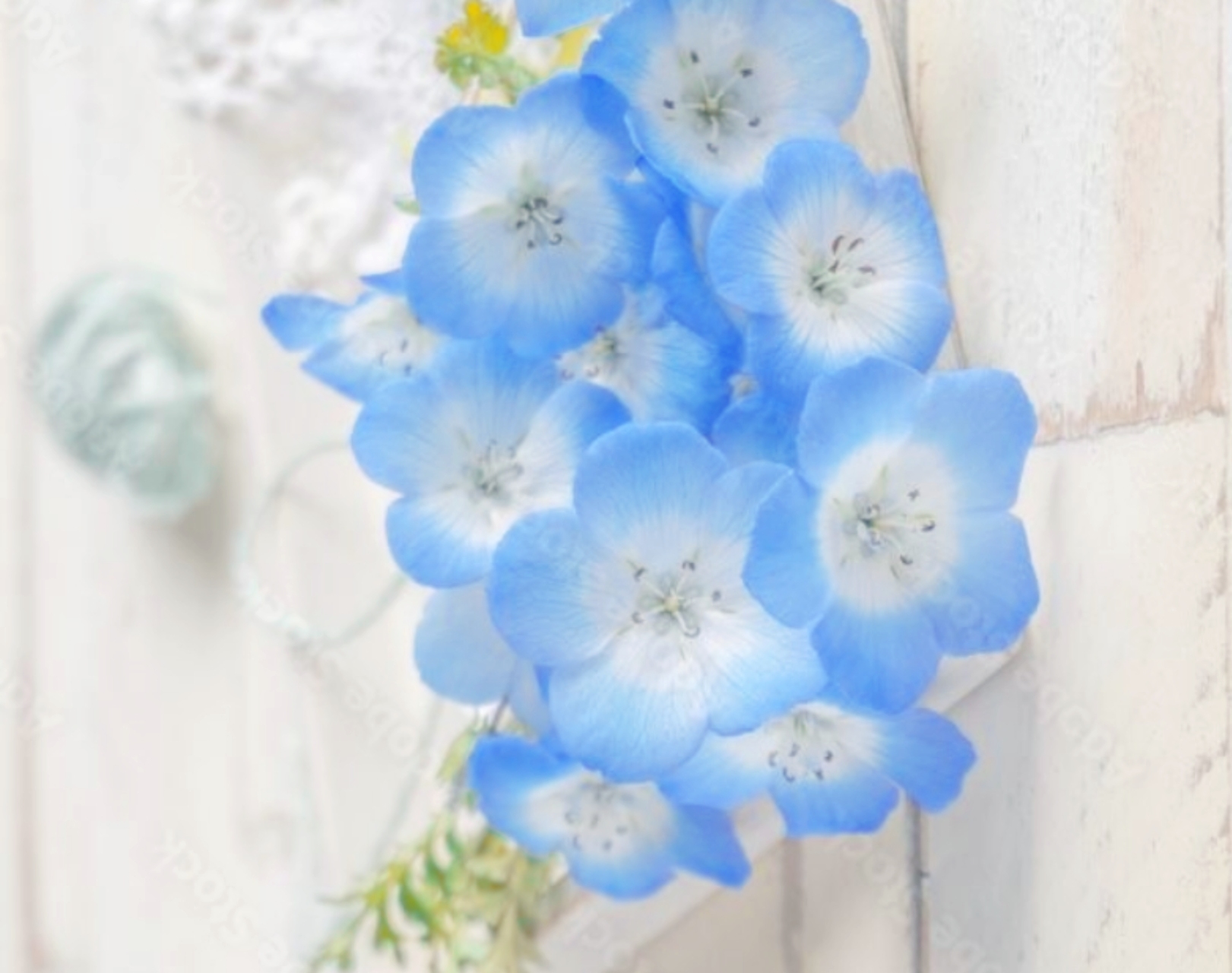 休日(*'ω'*)/ゆりか