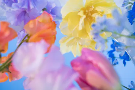 おはようございます/ゆりか