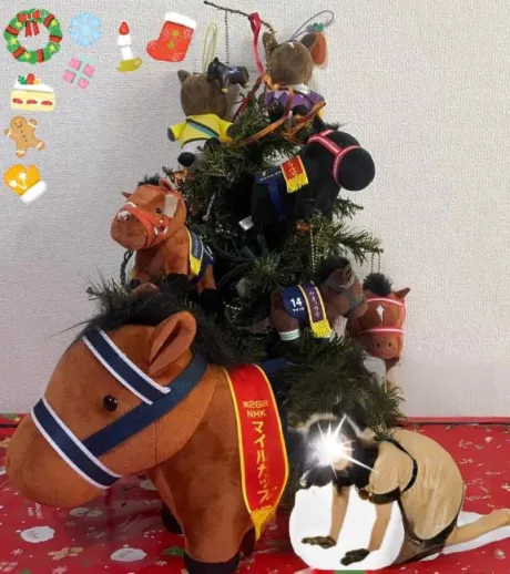 あづみの(青森)青森･弘前人妻デリヘル桃屋
