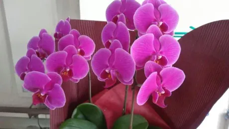 出勤のお知らせ📢/さら