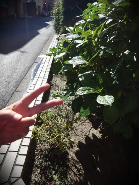 ★まみ★極上熟女店長激押し！隣の人妻お口で愛して