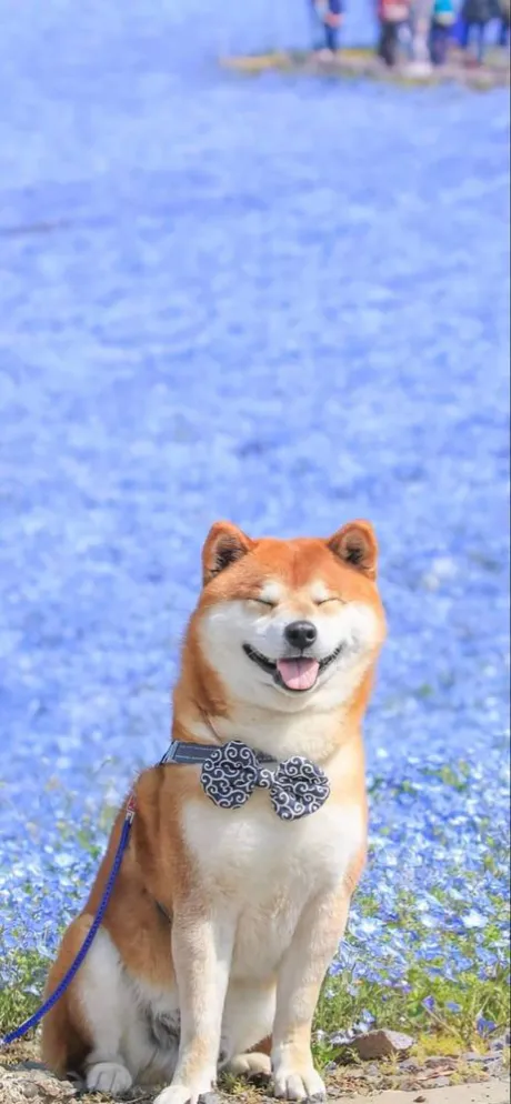 こんばんは ( * ・ω・) ノ/なお