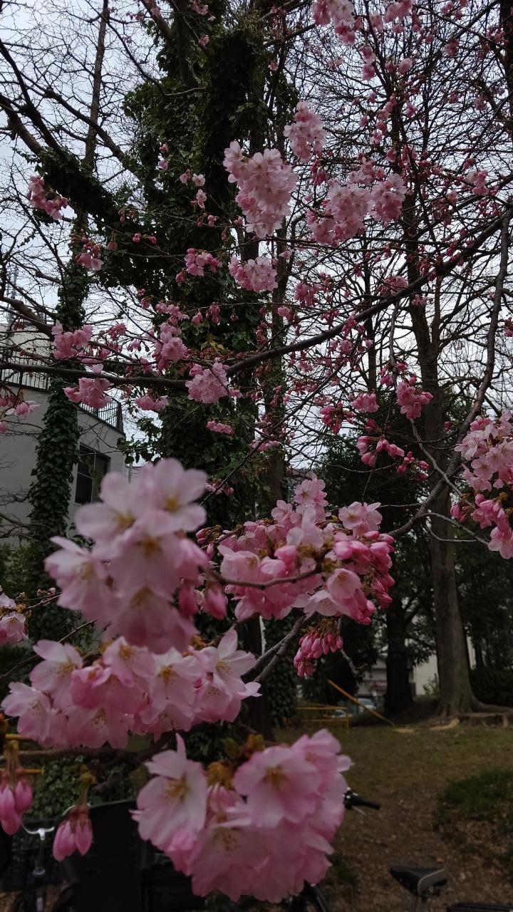 爽やかな風が
