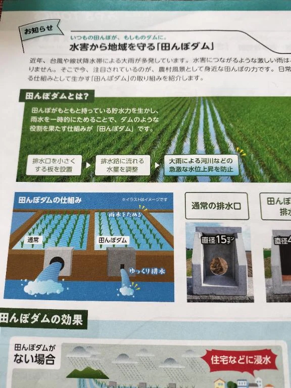 シオン人妻生レンタルーNTRー