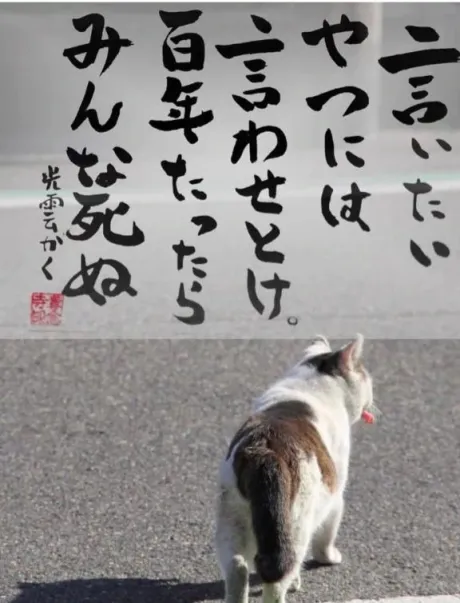 シオン人妻生レンタルーNTRー