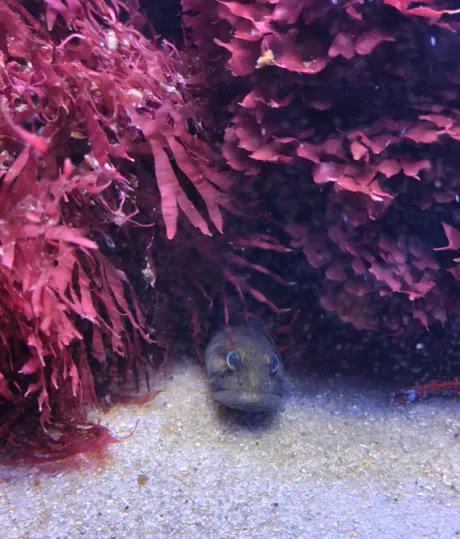 まさみ　奥様SUTEKIな奥様は好きですか？