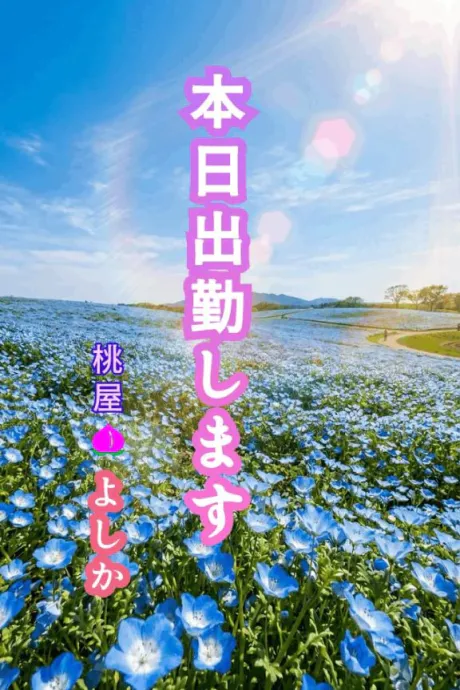 🌸お知らせ🌸/よしか(青森)