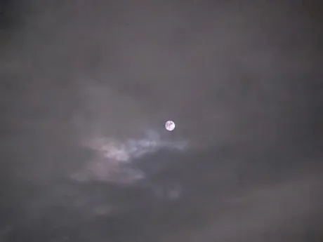 こんばんは🌙