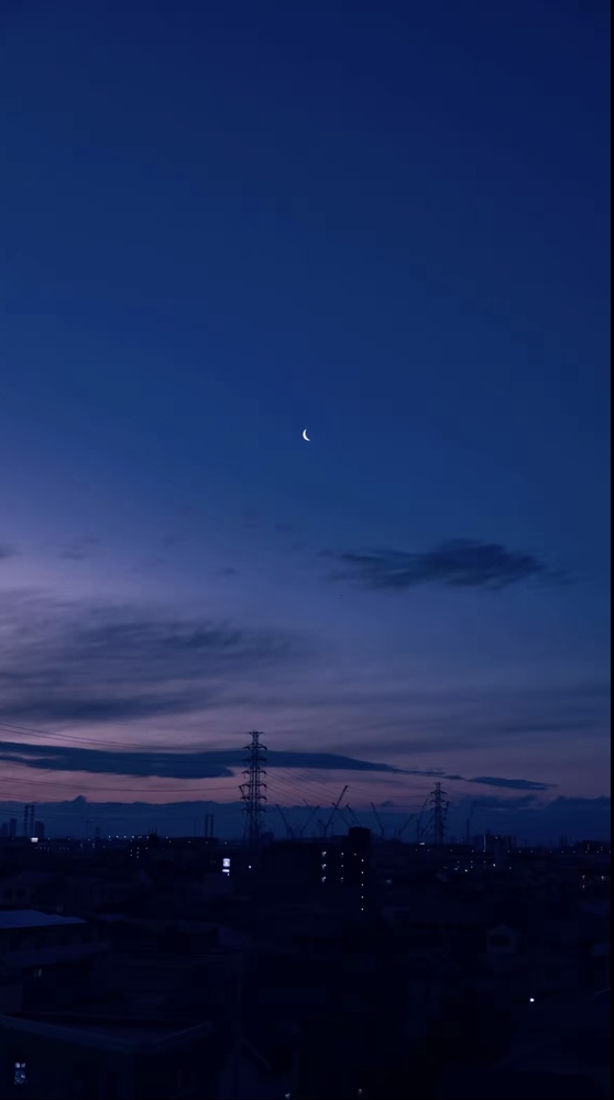 レイアDAYTONA-デイトナ-