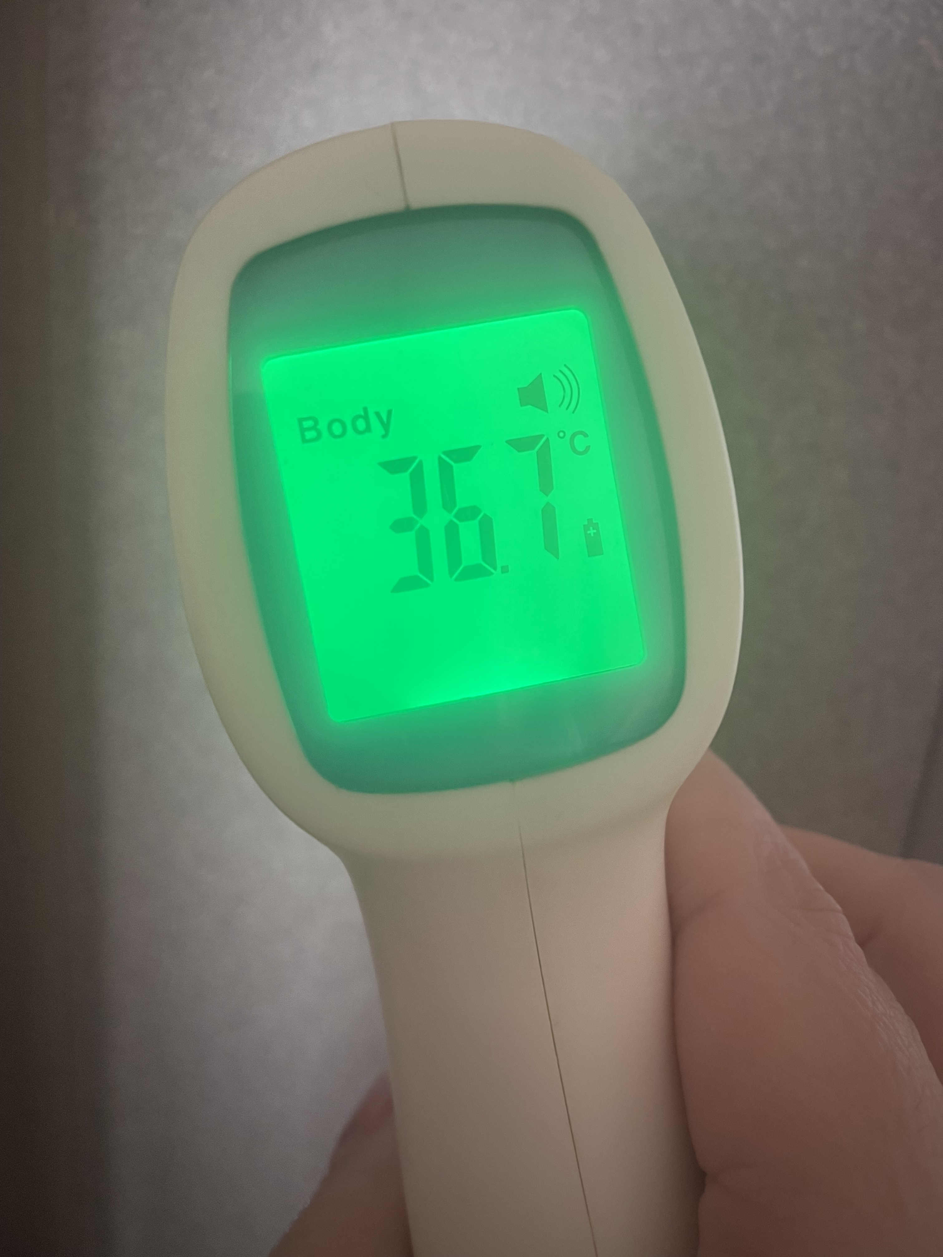 おはようございます