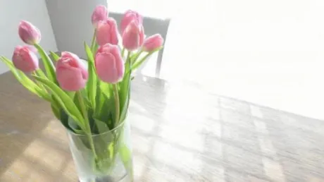 由奈(ゆな)のブログ お久しぶりです。