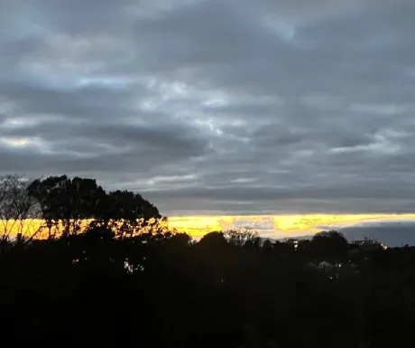 ひなたおばさんの店　FC　古川店