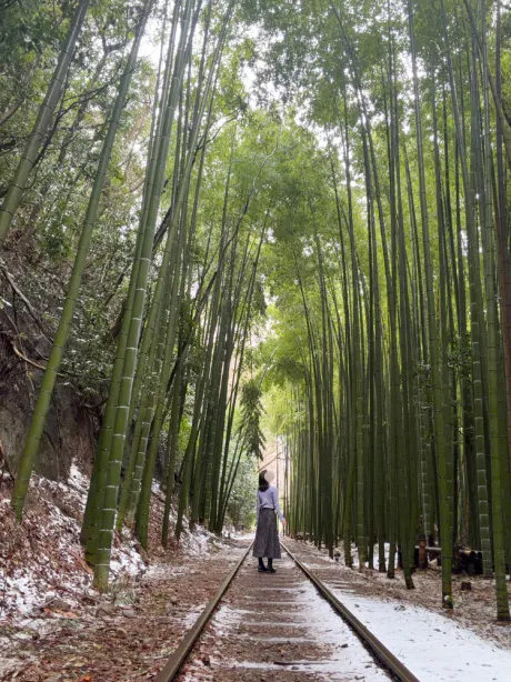 4 月 26 日の御礼 💌/はつね