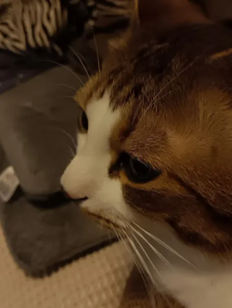 ゆうな 奥様仙台人妻セレブリティー