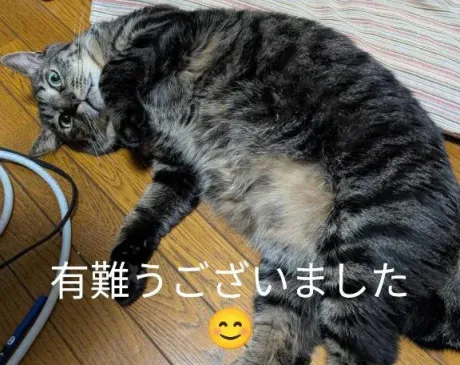 昨日は有難うございました😊/あじしお青森8/3入店
