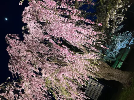 出勤しました/あかね