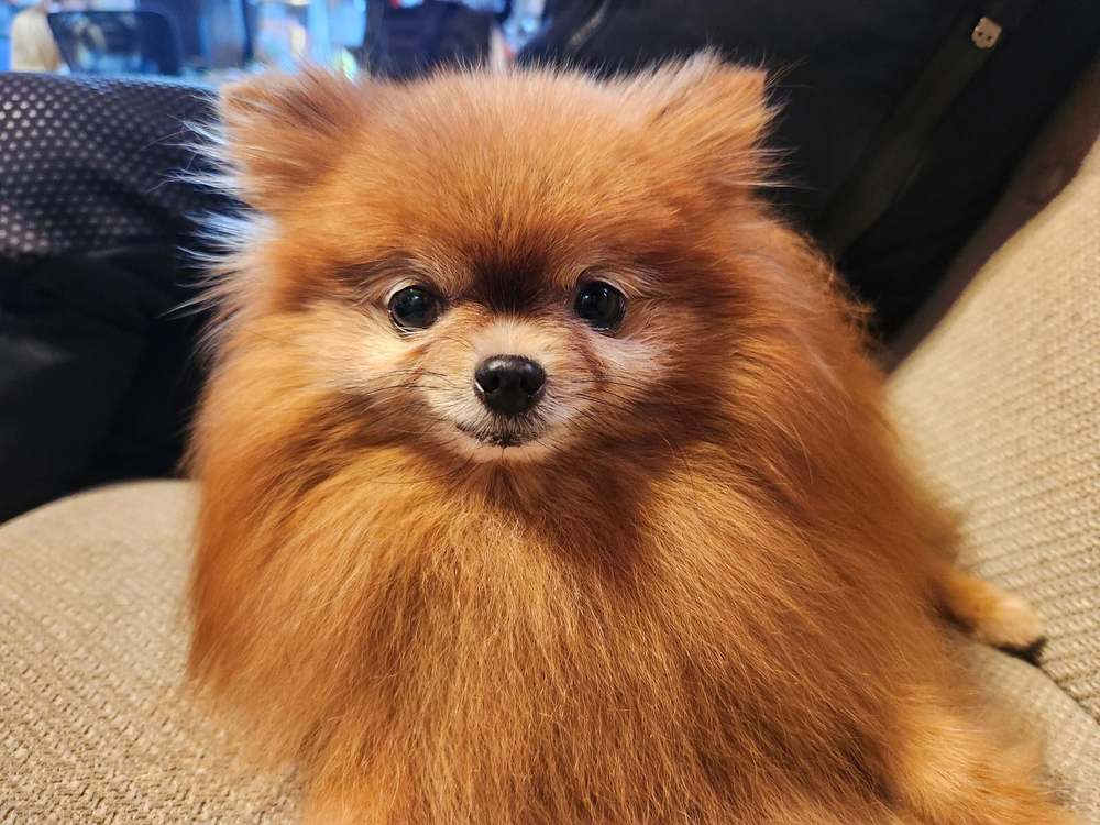 こんばんは～ ( * ・ω・) ノ