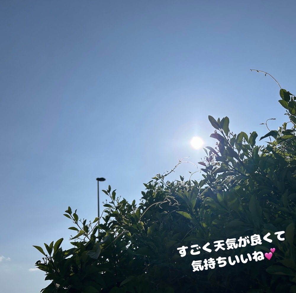 今日はポカポカ ☀️
