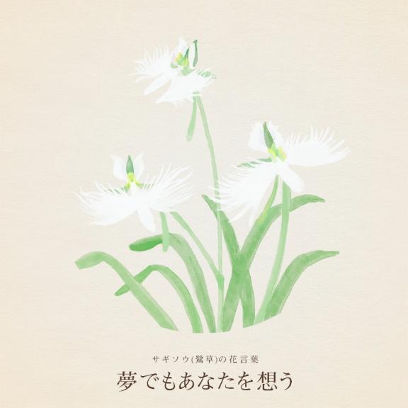 ‎𖤐 続きです