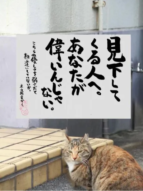 シオン人妻生レンタルーNTRー