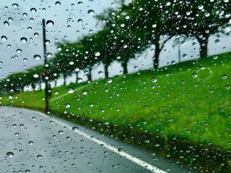 おはようございます☂