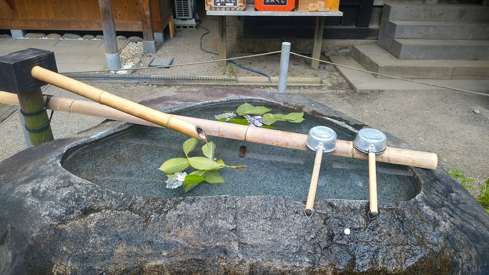 スケジュール 