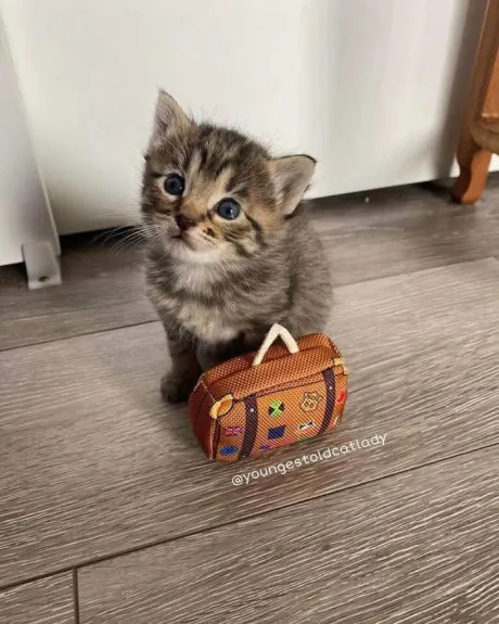 ありがとう ( * ´艸)/なお