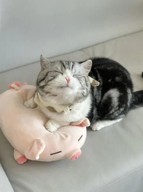 あのロイヤルクラブ