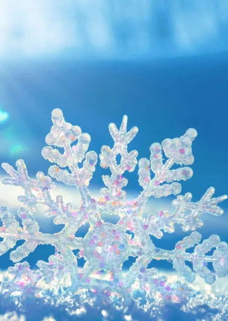 今週の予定🎵/さな【弘前黒石大釈迦】