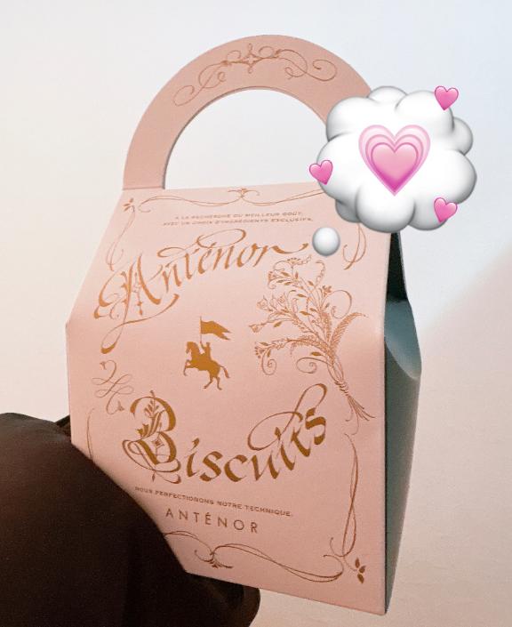 レディのお兄様