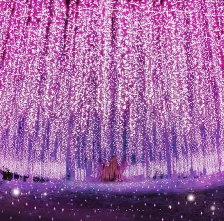 久しぶりです。/さなえ
