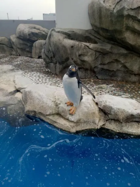 つきよ【完全業界未経験】おばさんの店