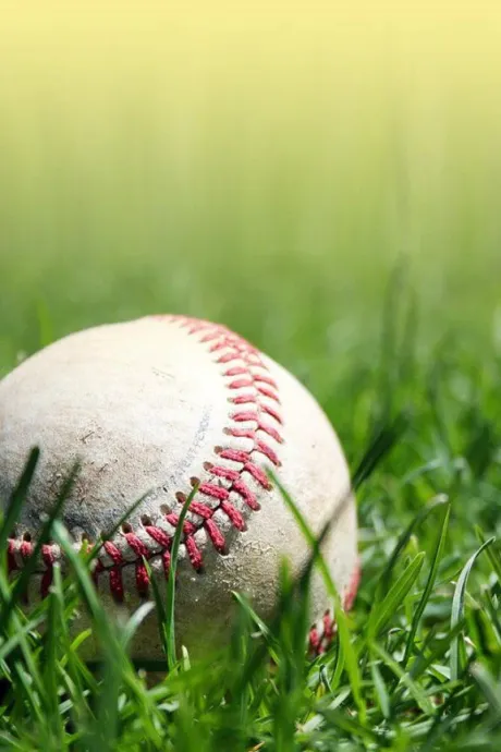 夏の甲子園 全49校出揃う♪/ちかげ